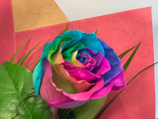 12 Rainbow Rose Hand tied